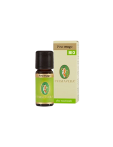 olio essenziale pino mugo bio